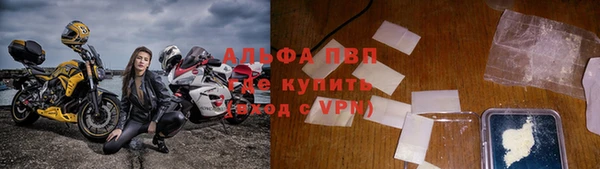 прущие грибы Пролетарск