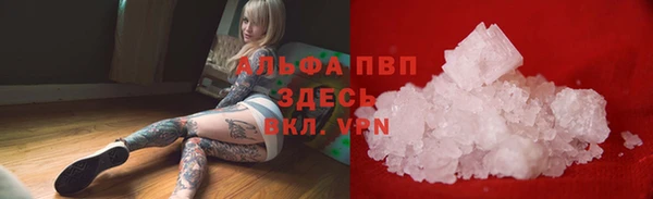 прущие грибы Пролетарск